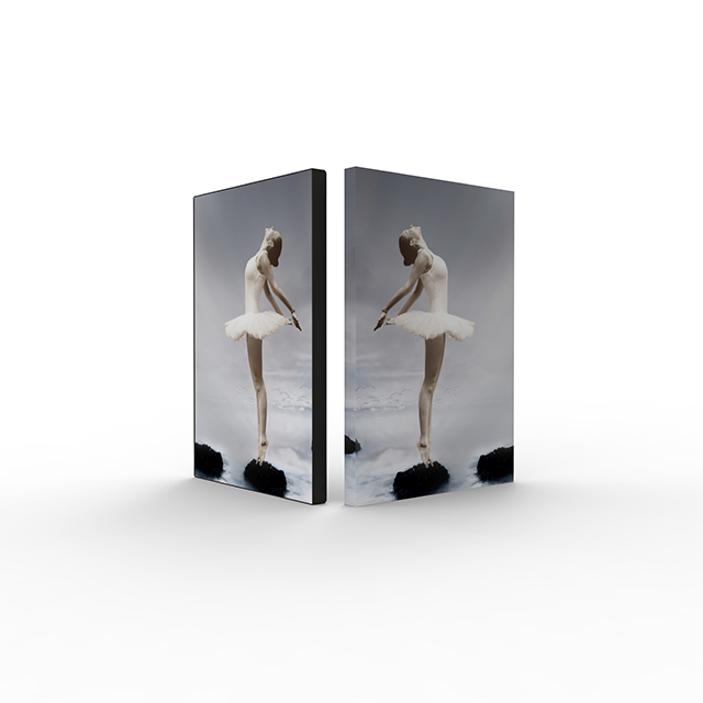 DH-WMF Aluminium SEG Insert graphics Photo Frame 